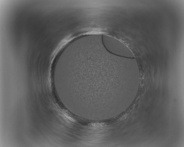 X0000066000296200603061330