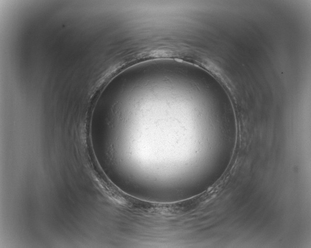 X0000066000297200603061330