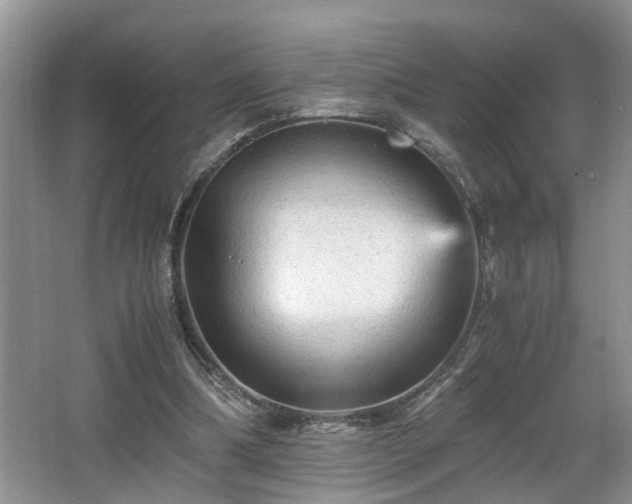 X0000066000298200603061330