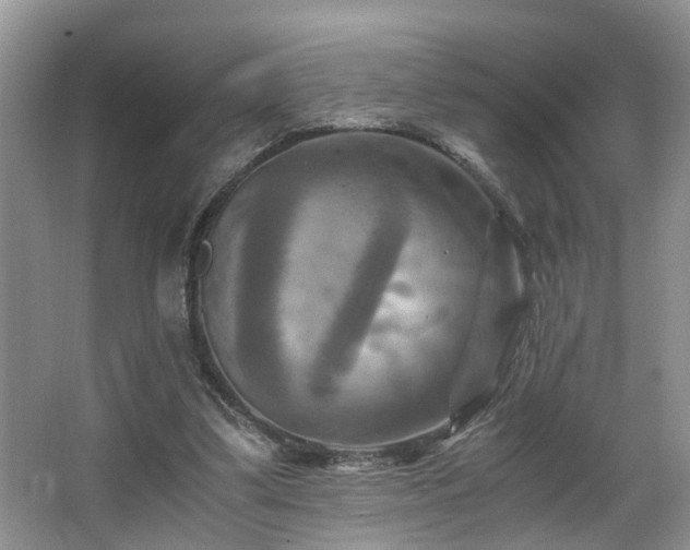 X0000066000299200603061330