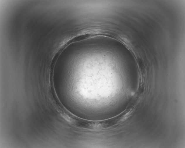 X0000066000301200603061330