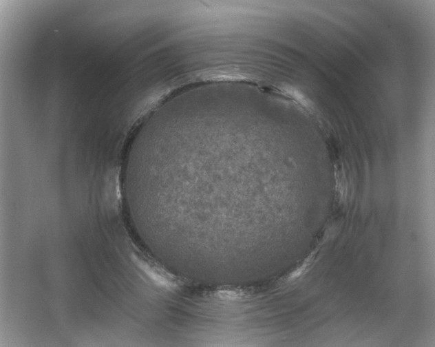 X0000066000302200603061330