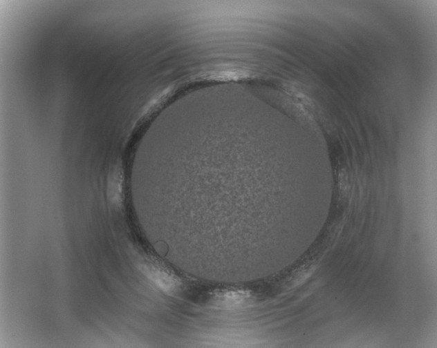 X0000066000304200603061330