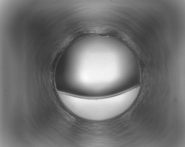 X0000066000305200603061330