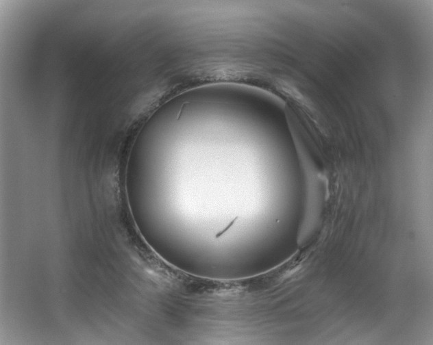 X0000066000306200603061330