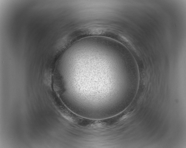 X0000066000307200603061330