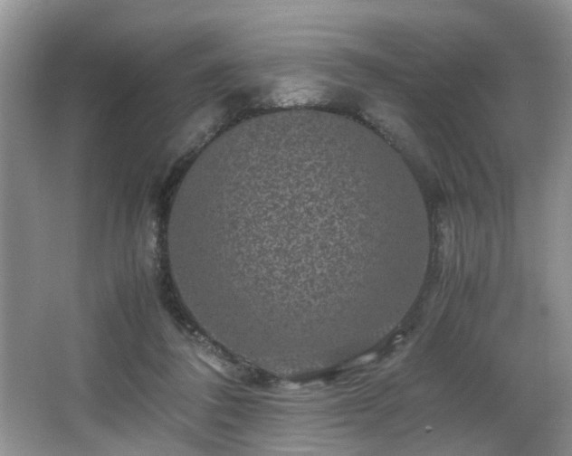 X0000066000308200603061330