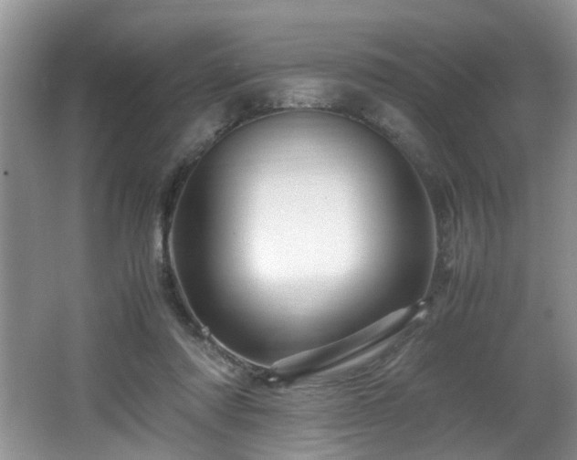 X0000066000310200603061330