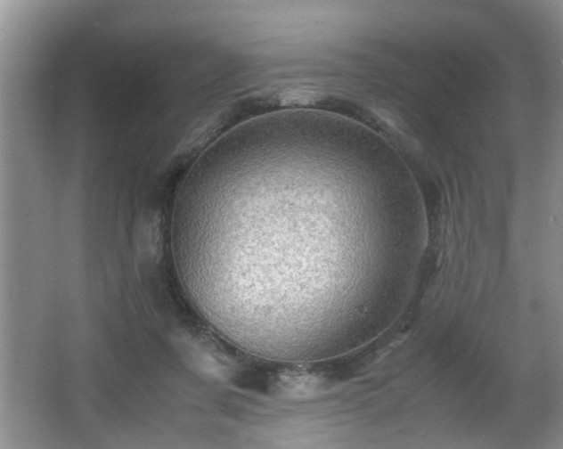 X0000066000311200603061330