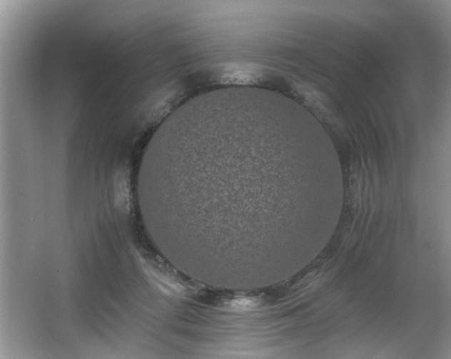 X0000066000312200603061330