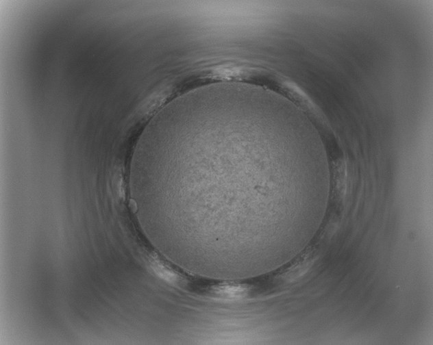 X0000066000313200603061330