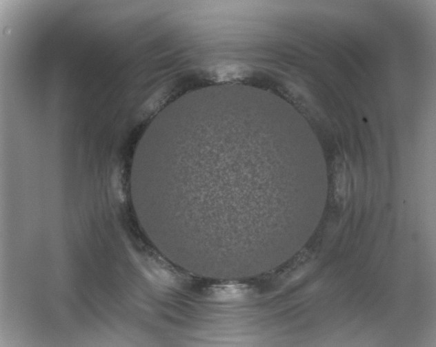 X0000066000316200603061330