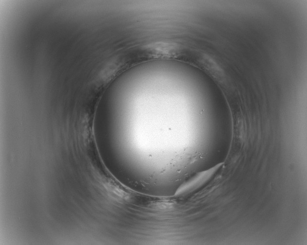 X0000066000318200603061330