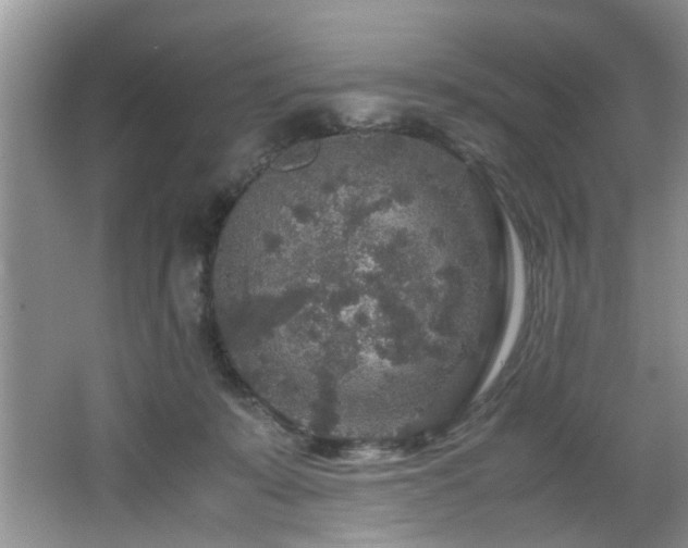 X0000066000319200603061330