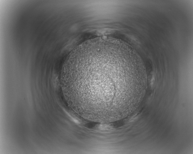 X0000066000327200603061330