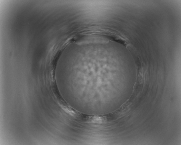 X0000066000330200603061330