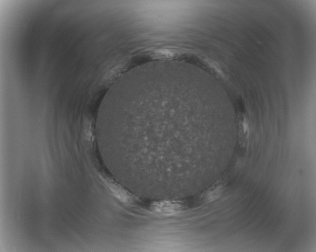 X0000066000331200603061330