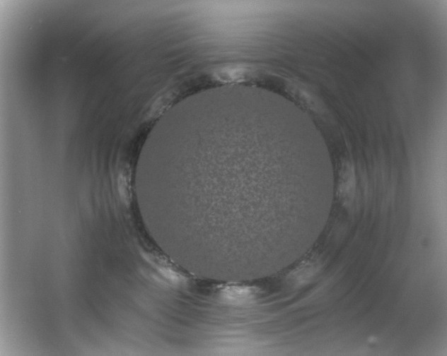 X0000066000332200603061330