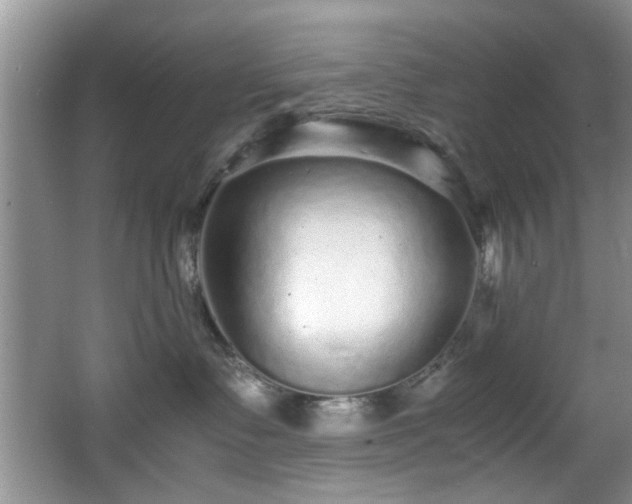 X0000066000335200603061330