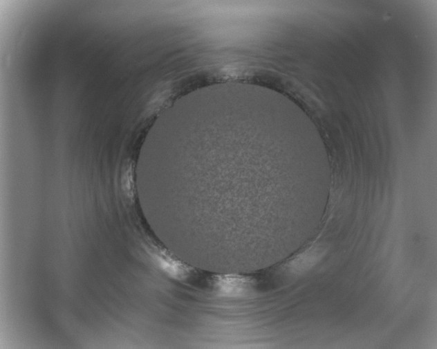 X0000066000336200603061330