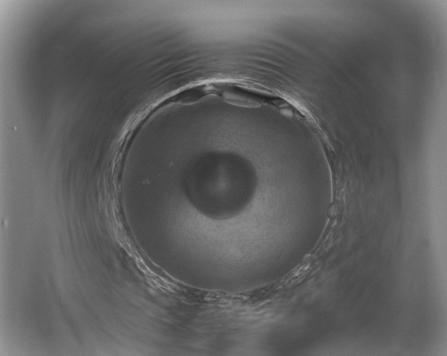 X0000066000337200603061329