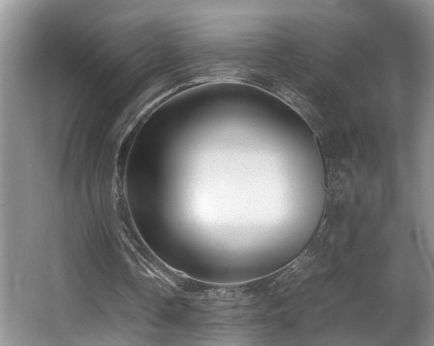 X0000066000338200603061329