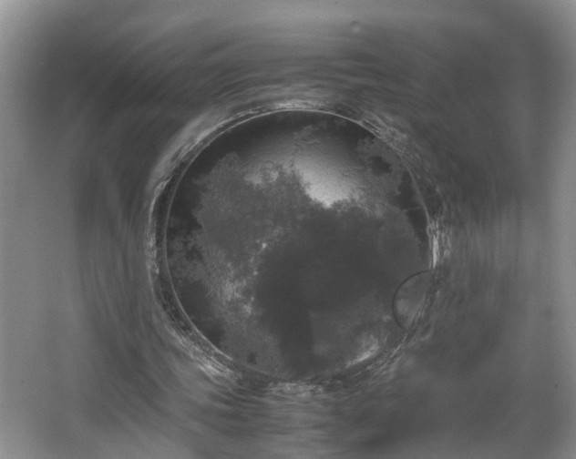 X0000066000339200603061329