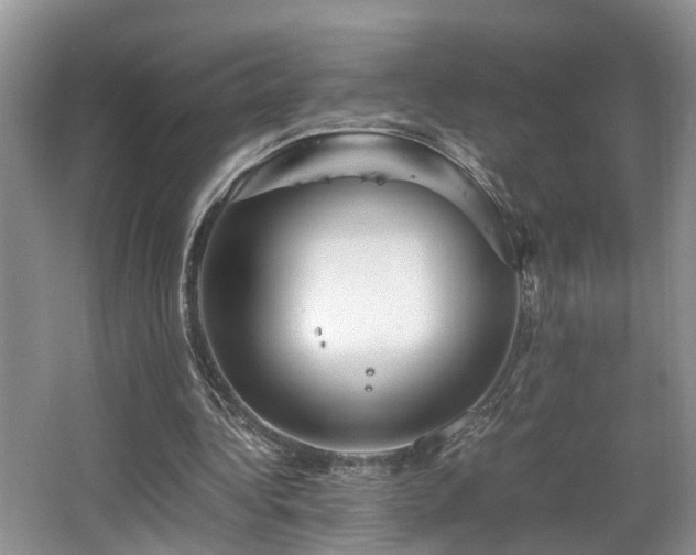 X0000066000340200603061329