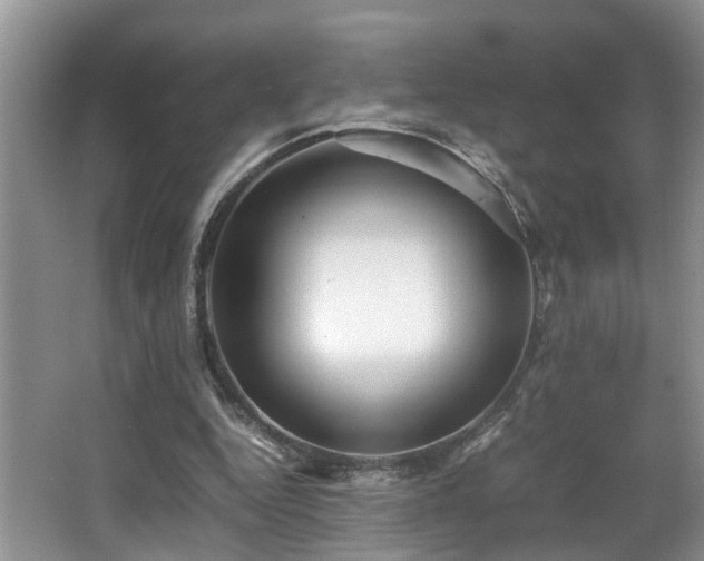 X0000066000344200603061329