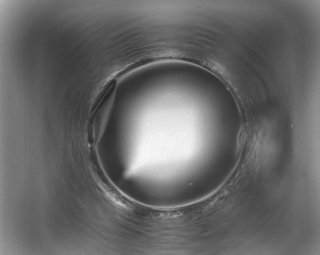 X0000066000345200603061329