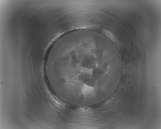 X0000066000346200603061329