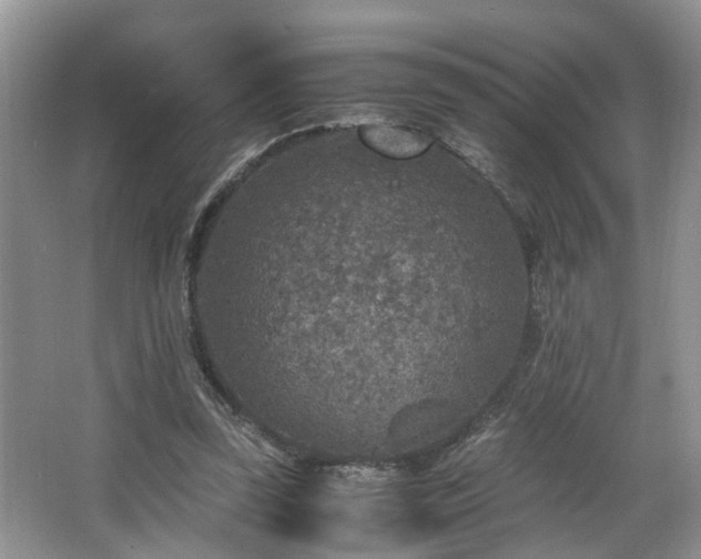 X0000066000347200603061329