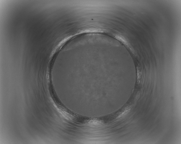 X0000066000348200603061329