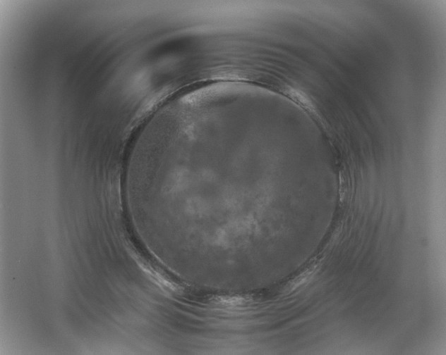 X0000066000349200603061329