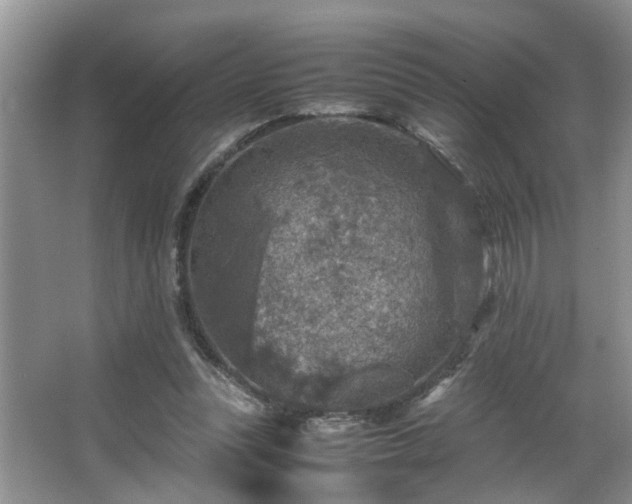 X0000066000351200603061329