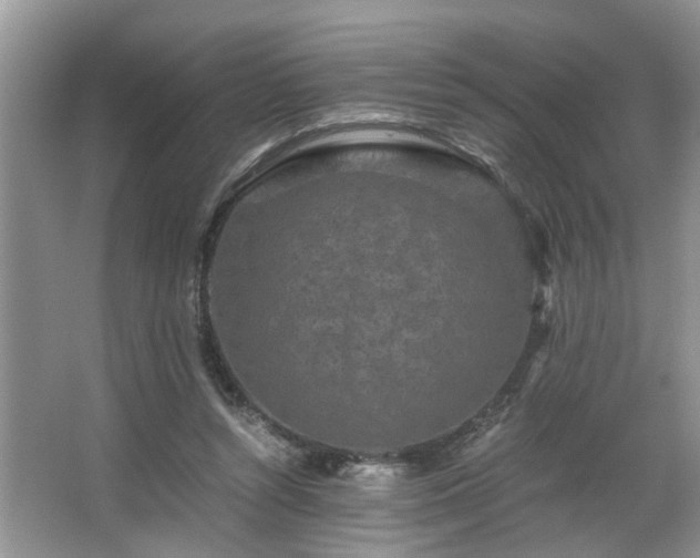 X0000066000352200603061329