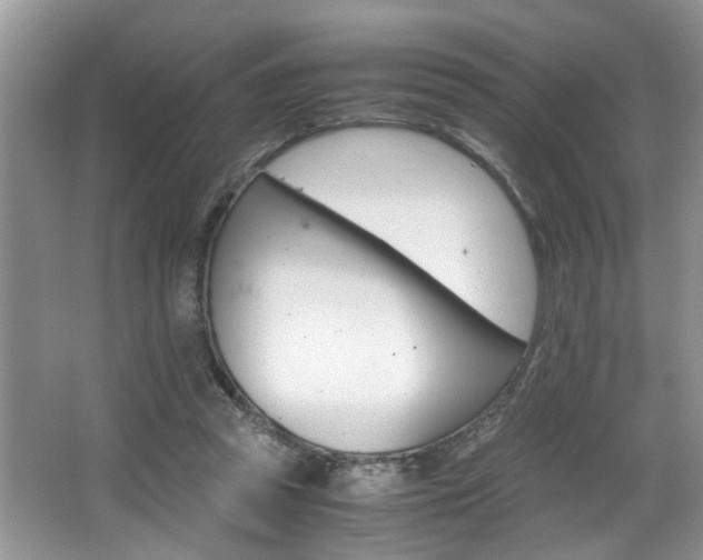 X0000066000353200603061329