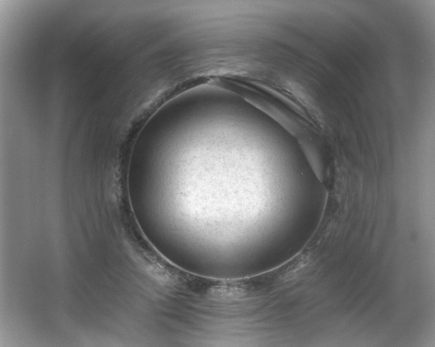 X0000066000354200603061329