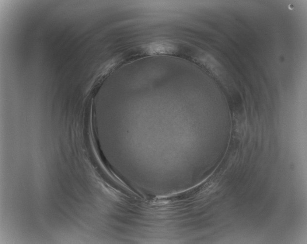 X0000066000357200603061329