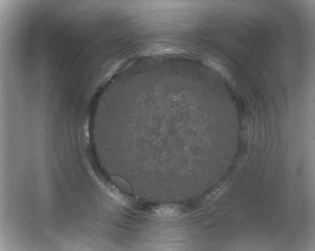 X0000066000358200603061329