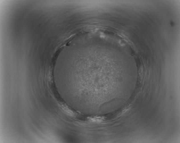 X0000066000359200603061329