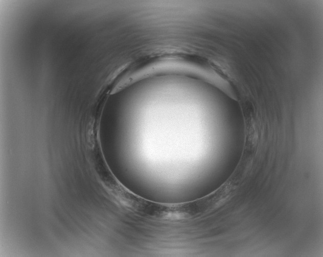 X0000066000360200603061329