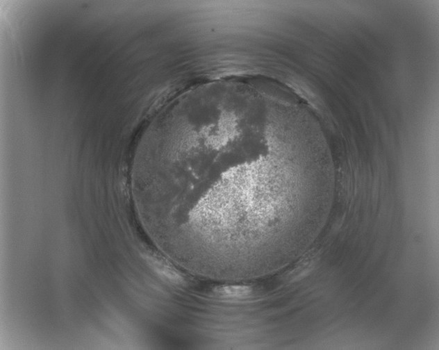 X0000066000361200603061329