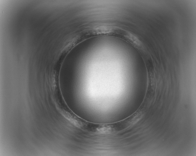 X0000066000362200603061329