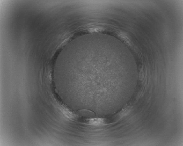 X0000066000363200603061329