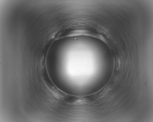 X0000066000364200603061329