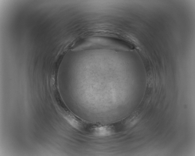 X0000066000365200603061329