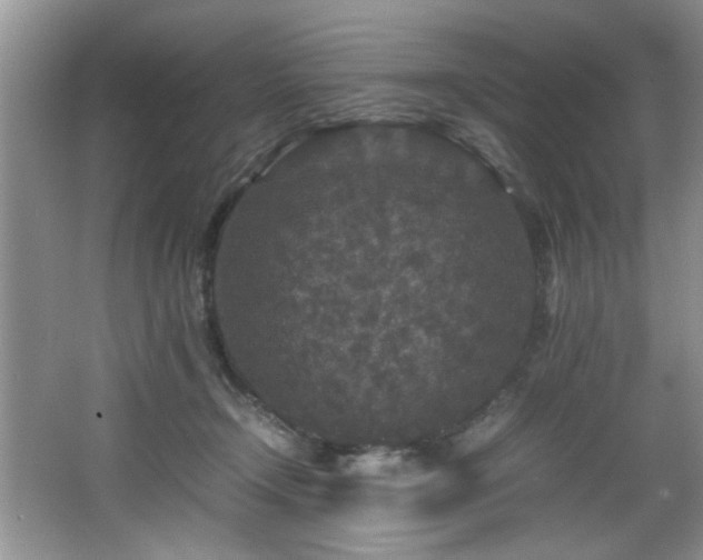 X0000066000366200603061329