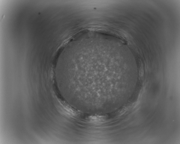 X0000066000367200603061329