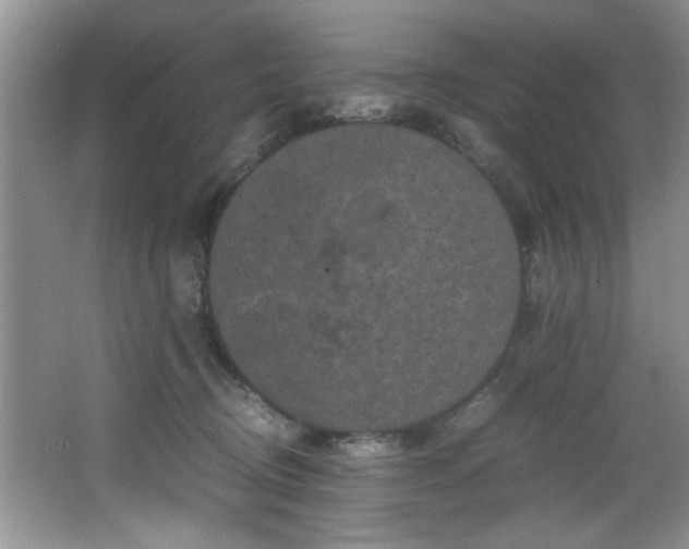 X0000066000370200603061329